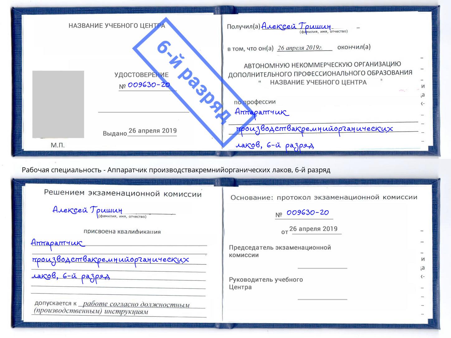 корочка 6-й разряд Аппаратчик производствакремнийорганических лаков Одинцово